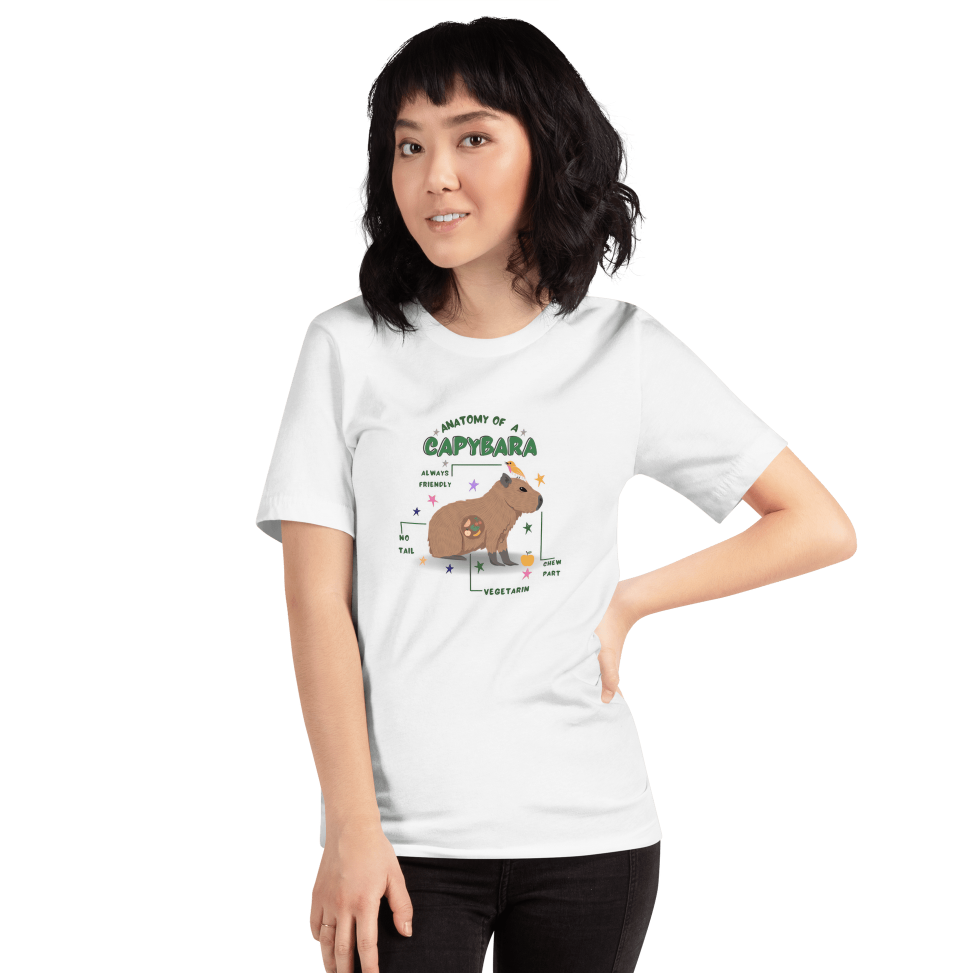 Anatomy of a Capybara Classic T-Shirt Meme - Athletic Heather | Shirtposting