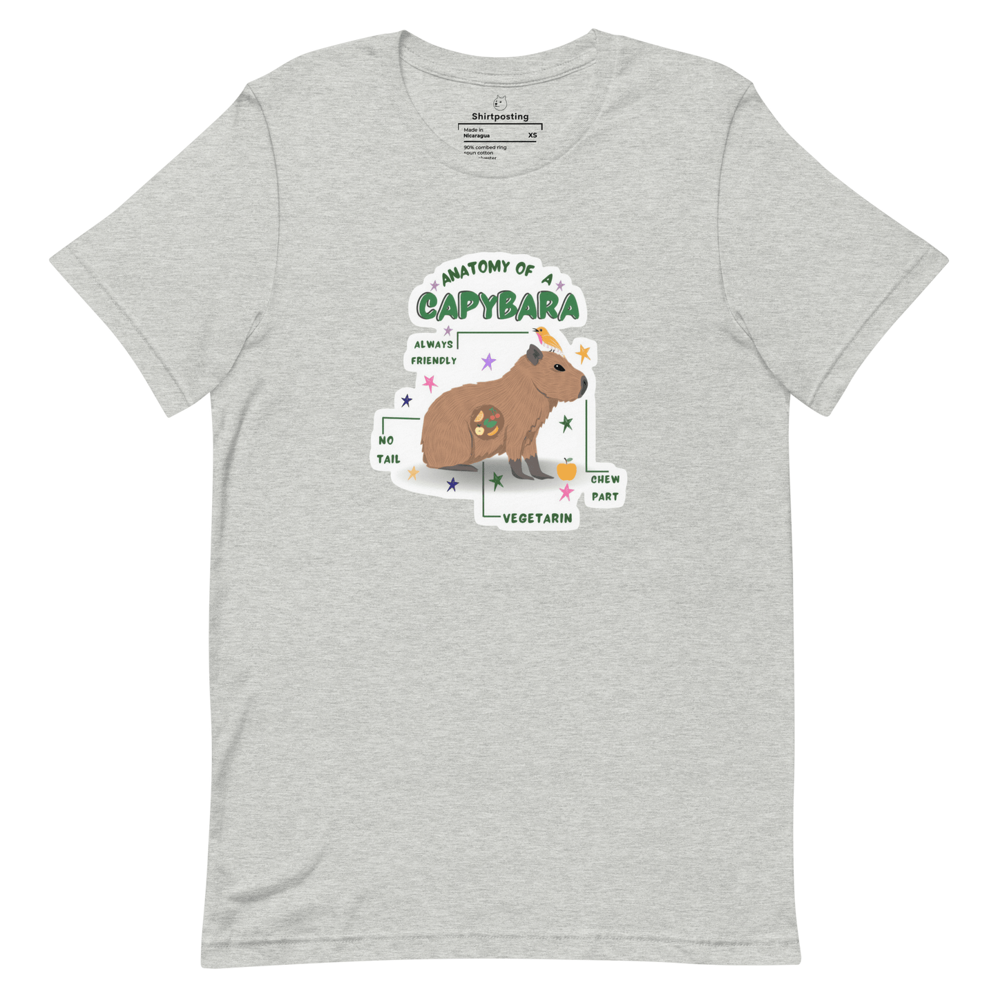 Anatomy of a Capybara Classic T-Shirt Meme - Athletic Heather | Shirtposting