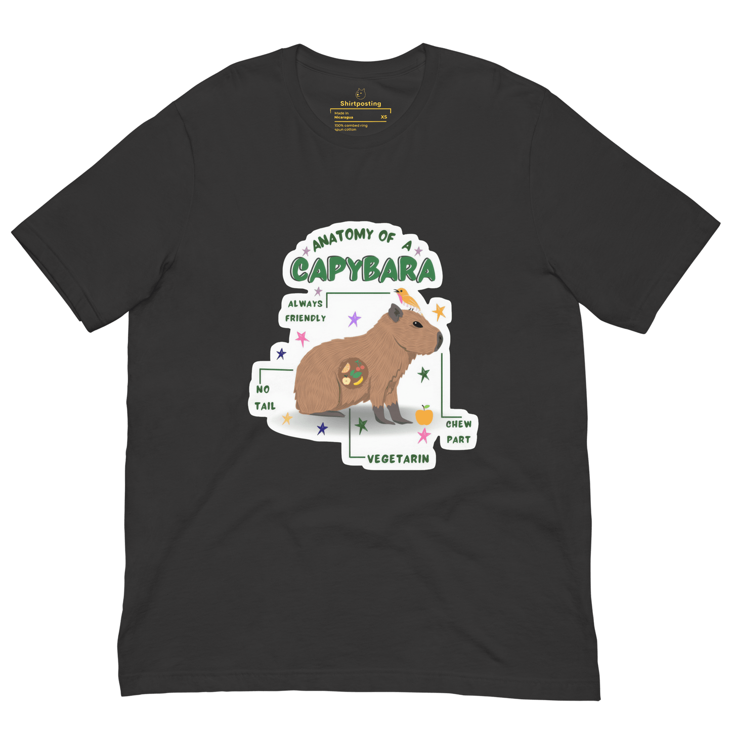Anatomy of a Capybara Classic T-Shirt Meme - Dark Grey | Shirtposting