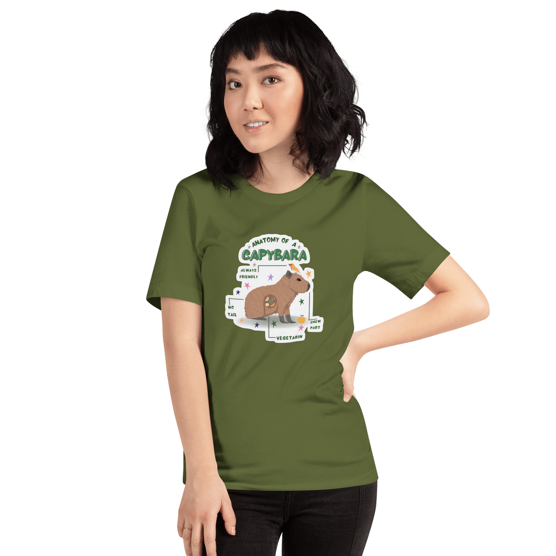 Anatomy of a Capybara Classic T-Shirt Meme - Dark Grey | Shirtposting