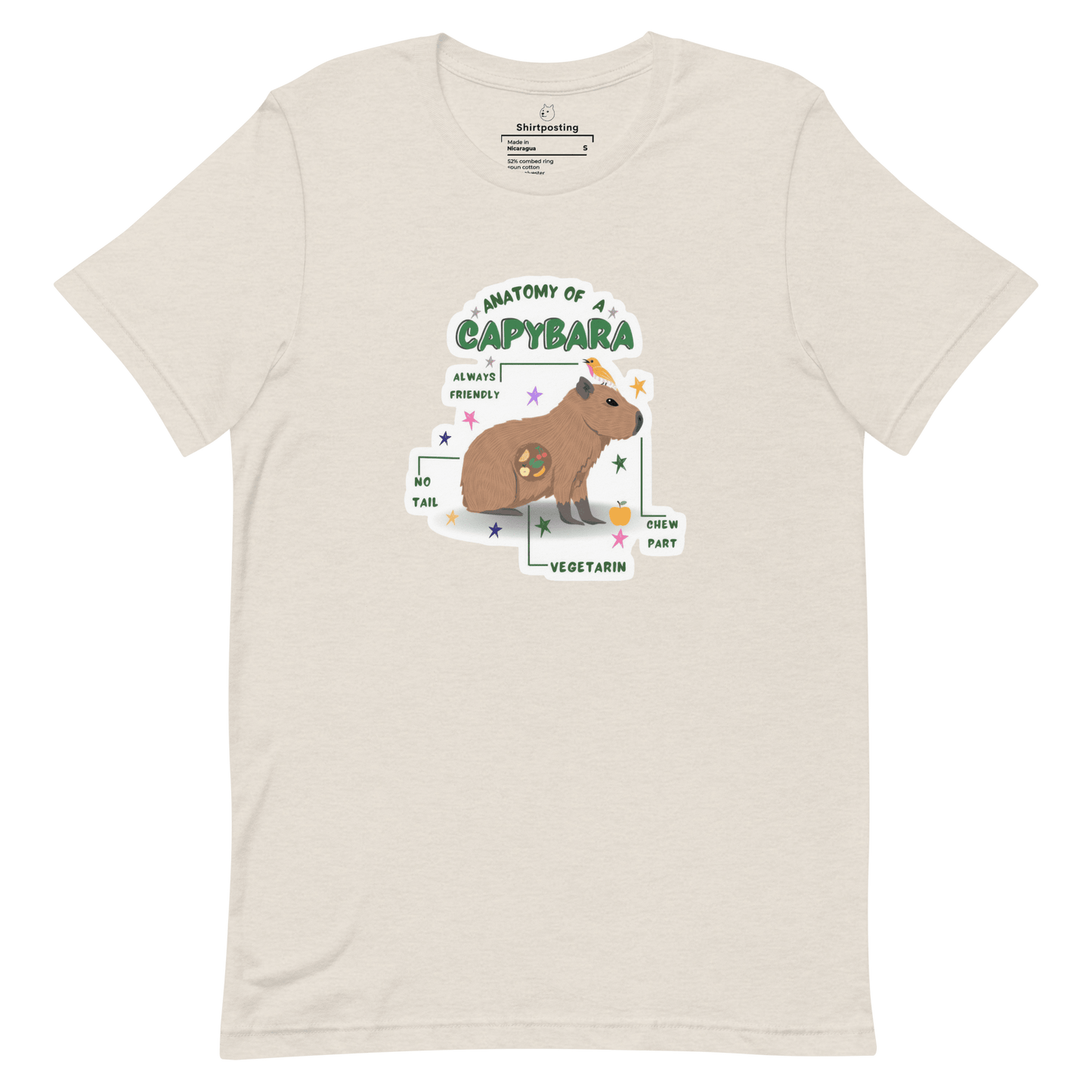 Anatomy of a Capybara Classic T-Shirt Meme - Heather Dust | Shirtposting