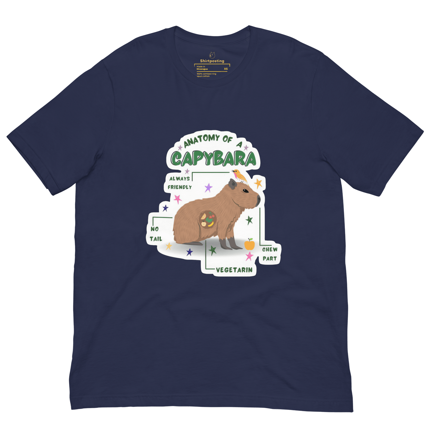 Anatomy of a Capybara Classic T-Shirt Meme - Navy | Shirtposting