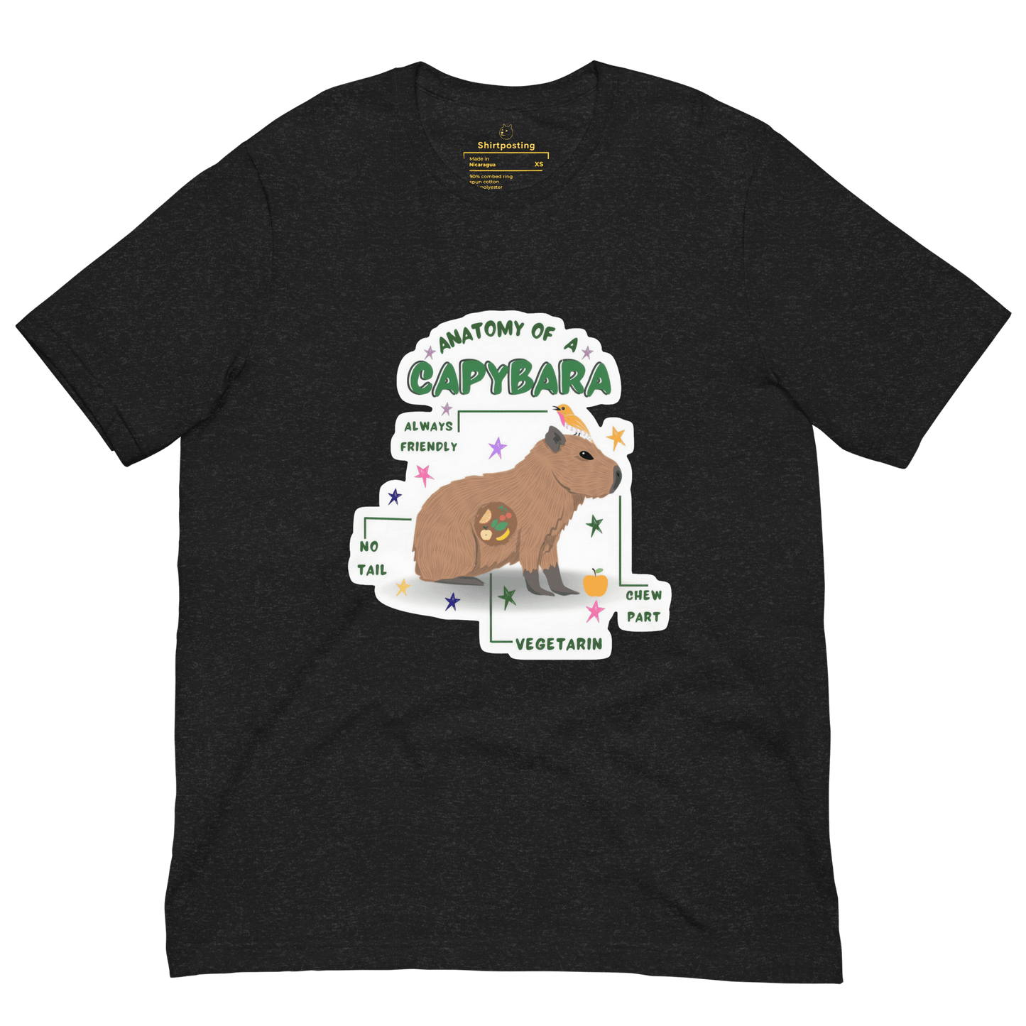 Anatomy of a Capybara Classic T-Shirt Meme - True Royal | Shirtposting