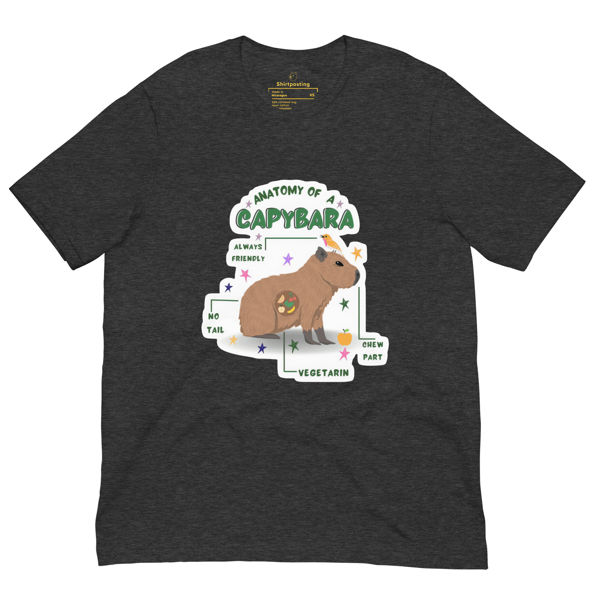 Anatomy of a Capybara Classic T-Shirt Meme - True Royal | Shirtposting