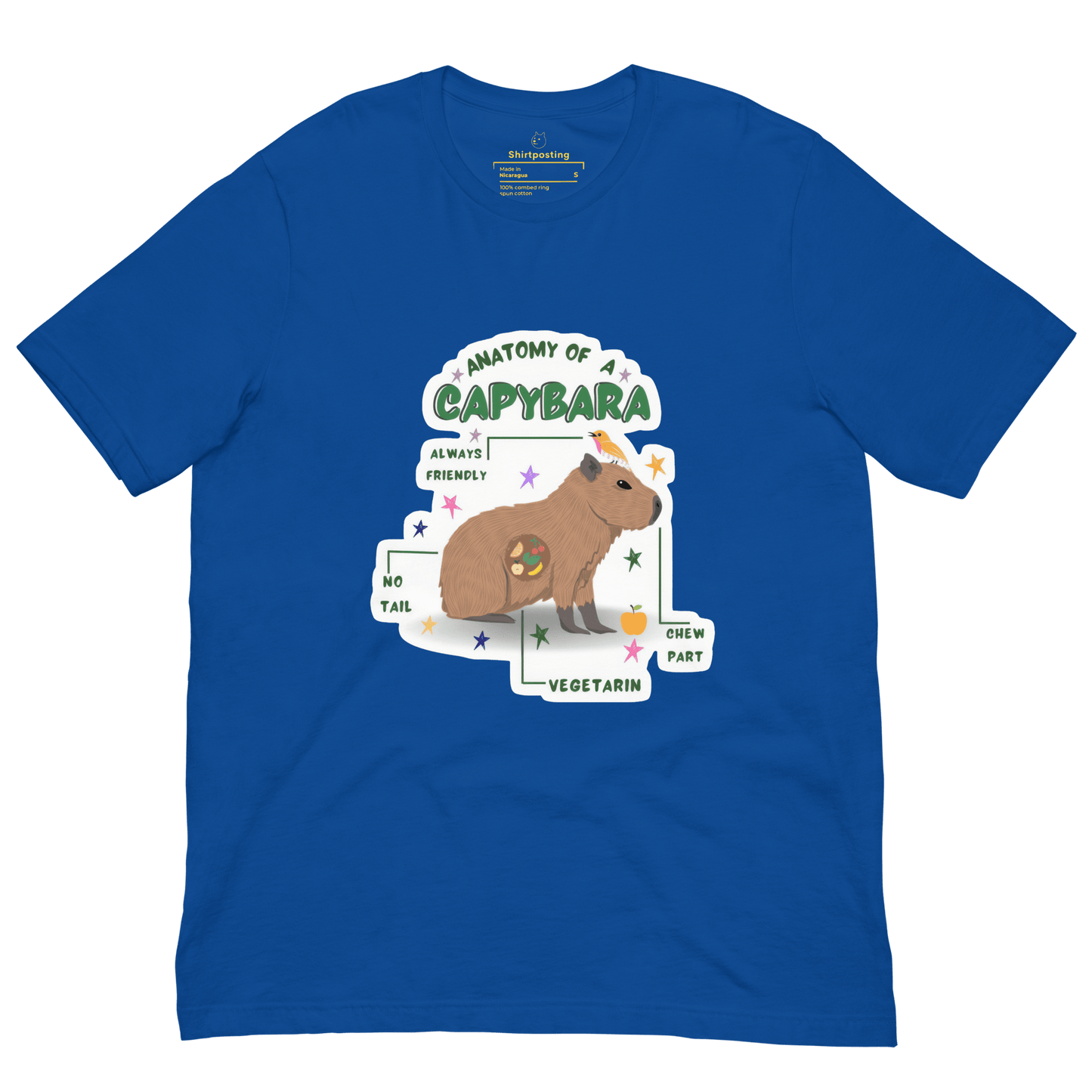 Anatomy of a Capybara Classic T-Shirt Meme - True Royal | Shirtposting