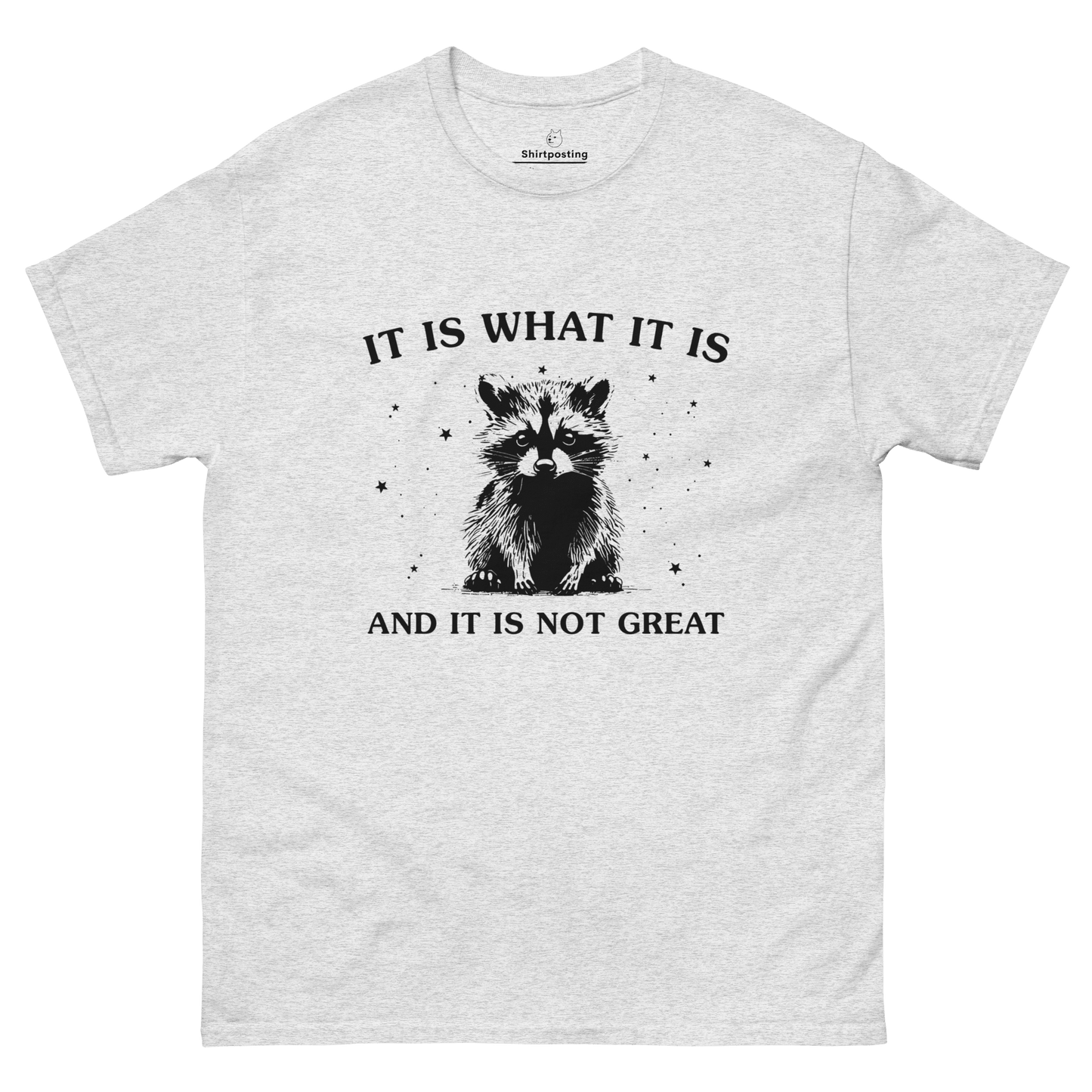 It Is What It Is Classic T-Shirt Meme - Ash | Shirtposting