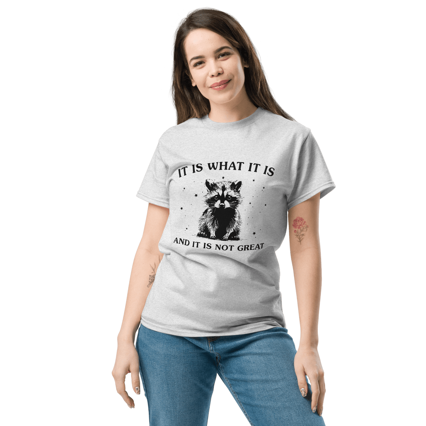 It Is What It Is Classic T-Shirt Meme - Ash | Shirtposting